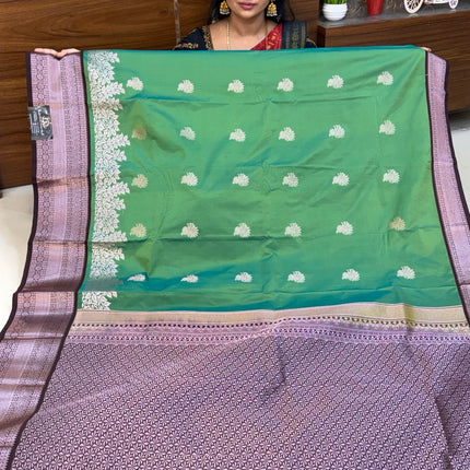 Premium Kanchi Silver Zari Coffee Brown Border