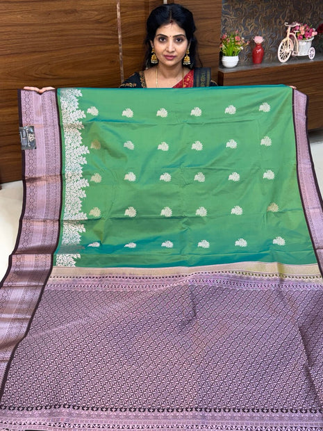 Premium Kanchi Silver Zari Coffee Brown Border