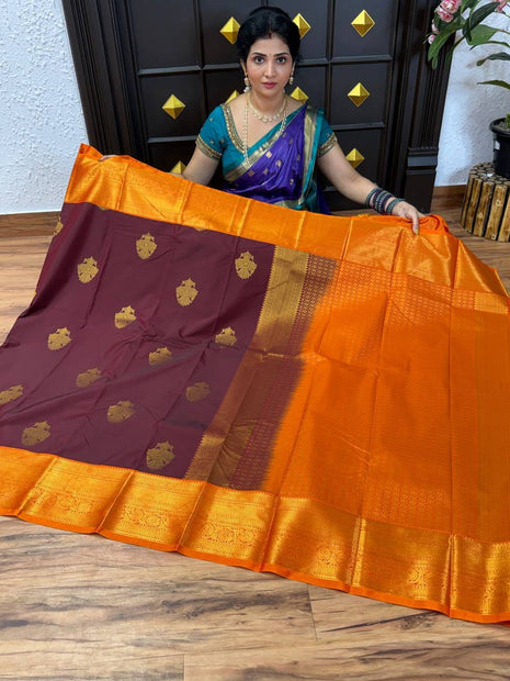 Premium Kanchi