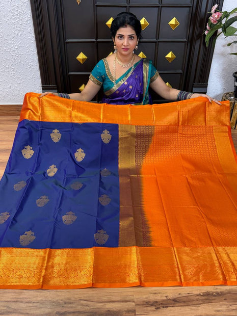 Premium Kanchi