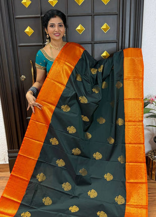 Premium Kanchi