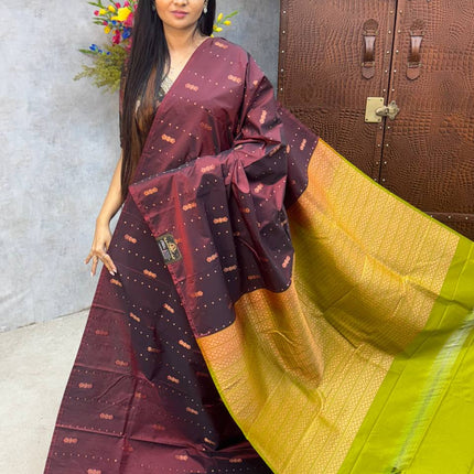 Border Less Kanchi Silk