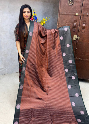 Kanchi Silk Silver Zari