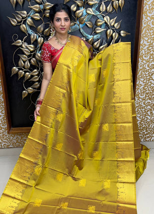 Premium Kanchi Gold Zari Pallaku Design