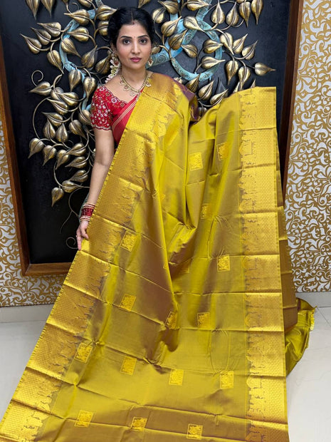 Premium Kanchi Gold Zari Pallaku Design
