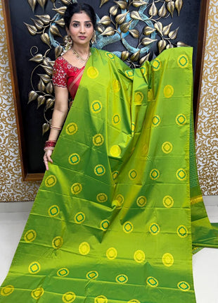 Border Less Kanchi Silk