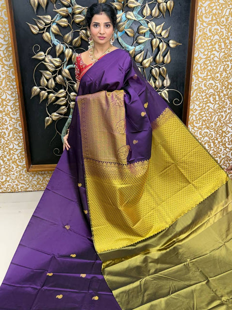 Premium Kanchi