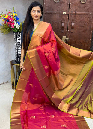 Premium Kanchi