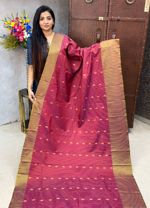 Vaira Oosi Golden Zari