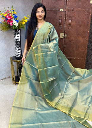Tissue Saree