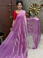 Fendi Designer  (BUTTERFLY SAREE)