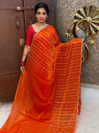 Fendi Designer Saree