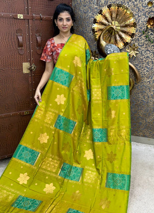 Kanchi Pochampally Silk
