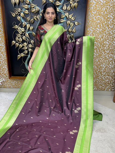 Kanchi Silk