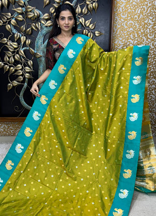 Pashmina