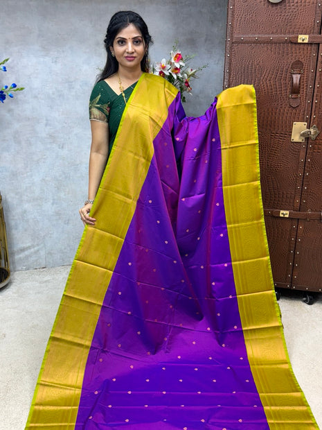 Premium Kanchi