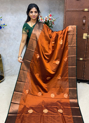 Premium Kanchi