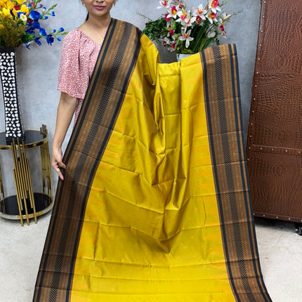 Kanchi Silk