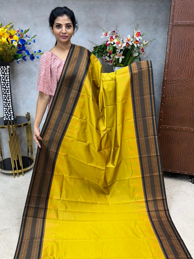 Kanchi Silk