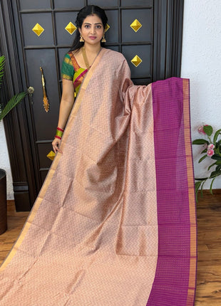 Semi Raw Silk
