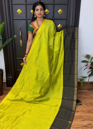 Semi Raw Silk