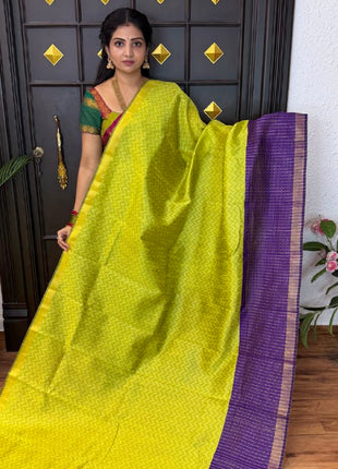 Semi Raw Silk