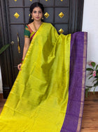 Semi Raw Silk