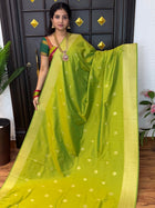 Kanchi Silk