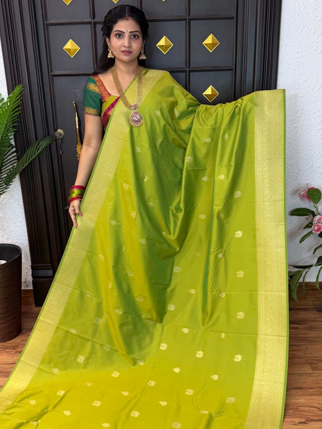 Kanchi Silk
