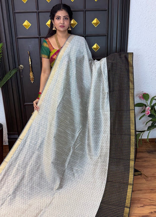 Semi Raw Silk