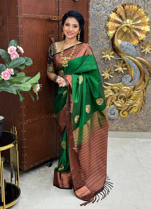 Premium Kanchi Coffee Brown Border