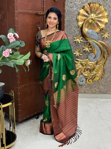 Premium Kanchi Coffee Brown Border