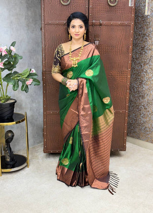 Premium Kanchi Coffee Brown Border