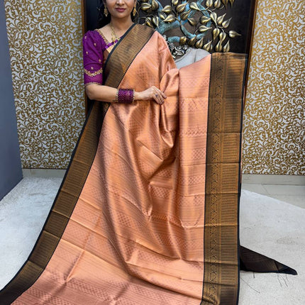 Kanchi Silk