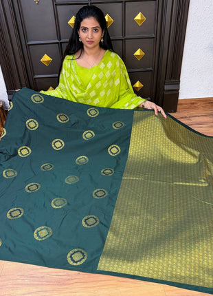 Border Less Kanchi Silk