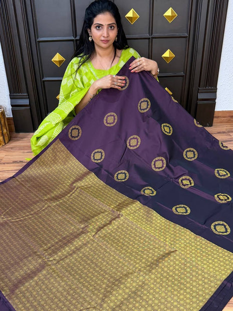 Border Less Kanchi Silk