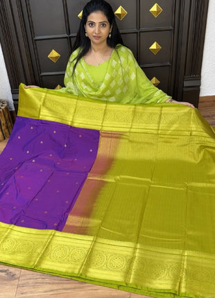 Premium Kanchi