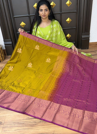 Premium Kanchi