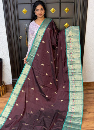 Kanchi Silk