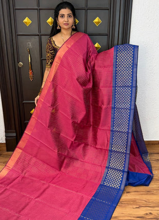 Semi Raw Silk