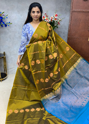 Border Less Kanchi Silk
