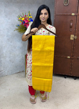Tissue Saree