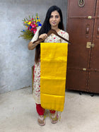 Tissue Saree
