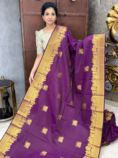 Premium Kanchi Gold Zari Pallaku Design