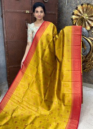 Kanchi Silk
