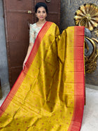 Kanchi Silk