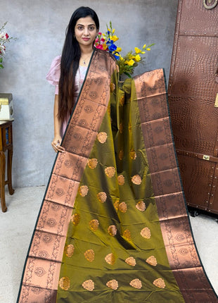 Long Border Kanchi Silk