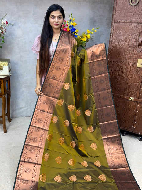 Long Border Kanchi Silk