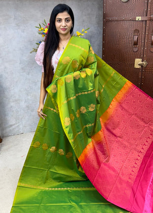 Border Less Kanchi Silk