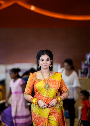 Kanchi Pochampally Silk